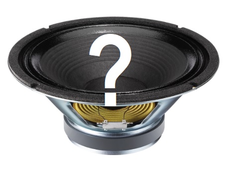 Best 12 Inch Speaker For Fender Princeton Reverb